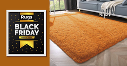 Black Friday Rugs Sale 2025