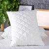 Bounce Back Pillows