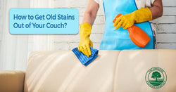 How to Get Old Stains Out of Your Couch?