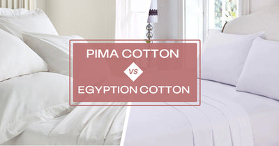 Pima vs Egyptian Cotton - Which One Reigns Supreme?