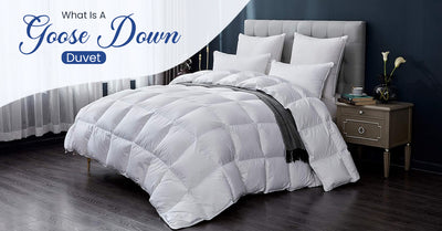 What is A Goose Down Duvet?