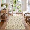 Geometric Embossed High-Low Pile Area Rug