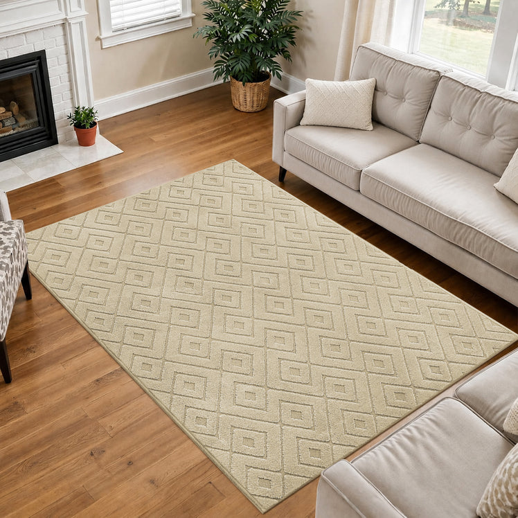 Geometric Embossed High-Low Pile Area Rug