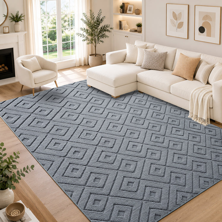 Geometric Embossed High-Low Pile Area Rug