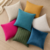 2 Pack Cushions for Sofa with Covers