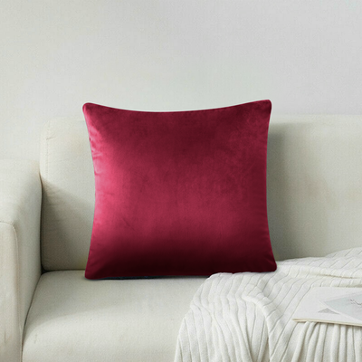 Velvet Cushion Covers