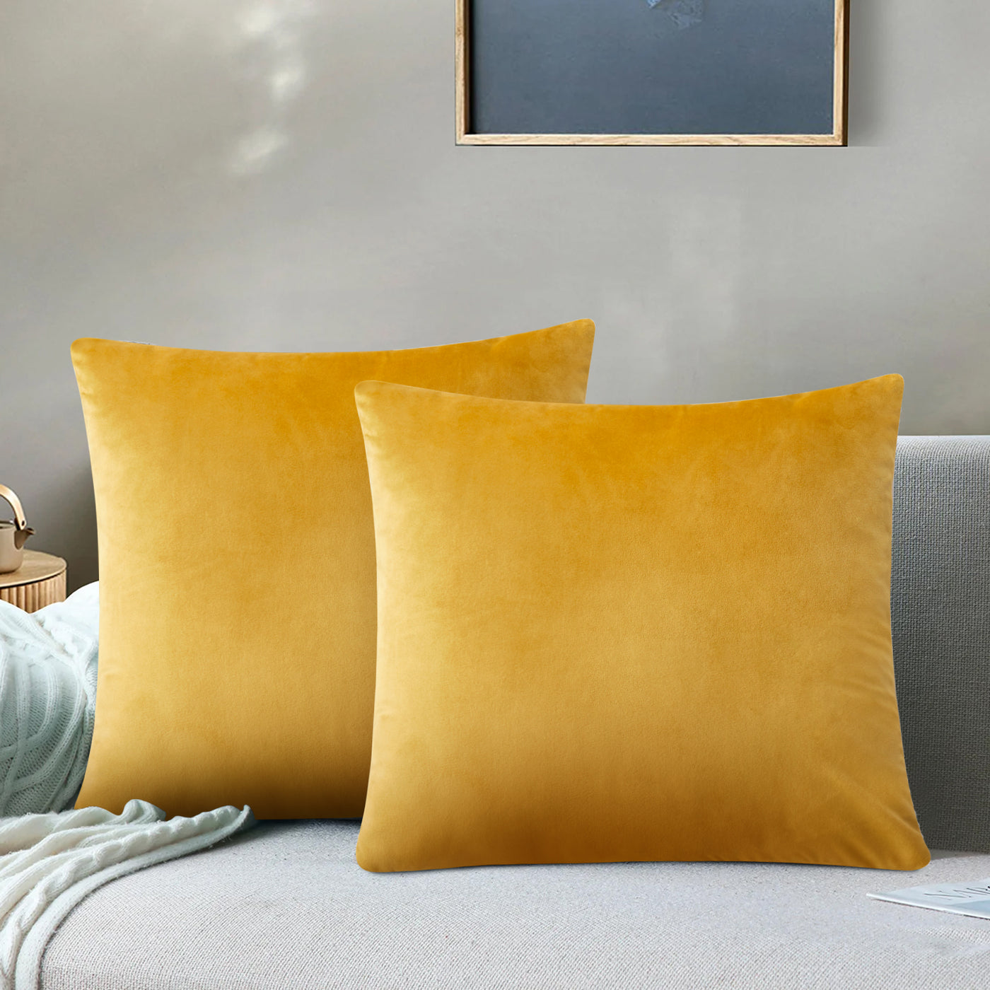 Velvet Cushion Covers